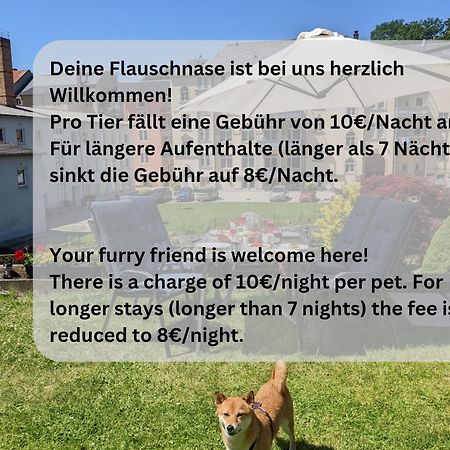 Zi1 - Urlaubsmagie - Erholung Mit Whirlpool & Sauna Sebnitz Kültér fotó