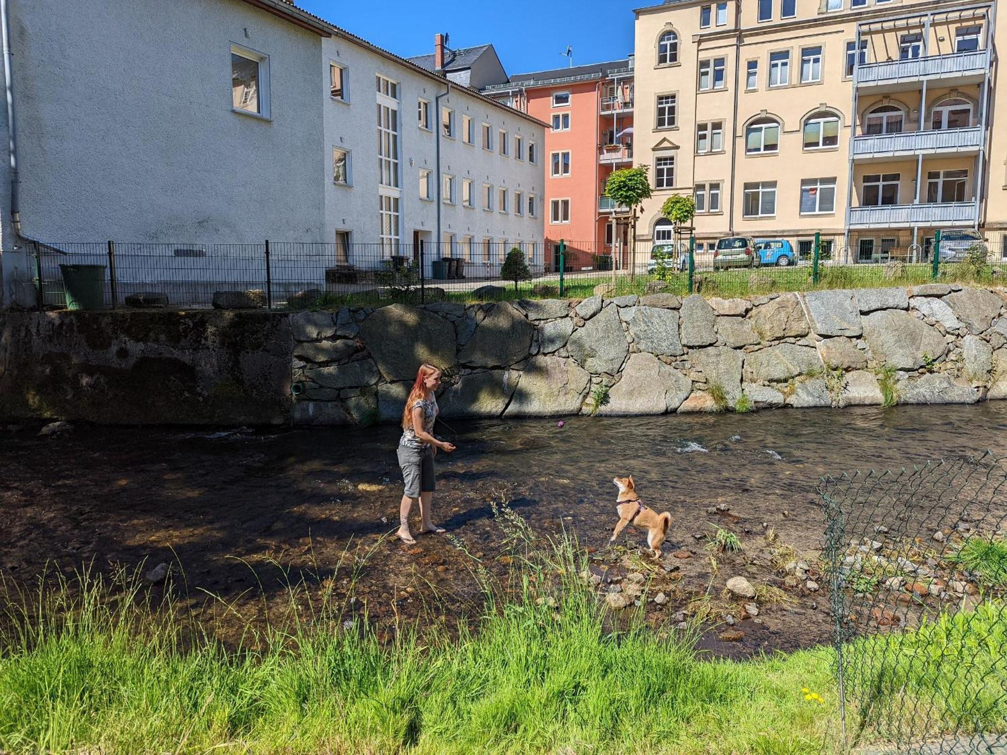 Zi1 - Urlaubsmagie - Erholung Mit Whirlpool & Sauna Sebnitz Kültér fotó