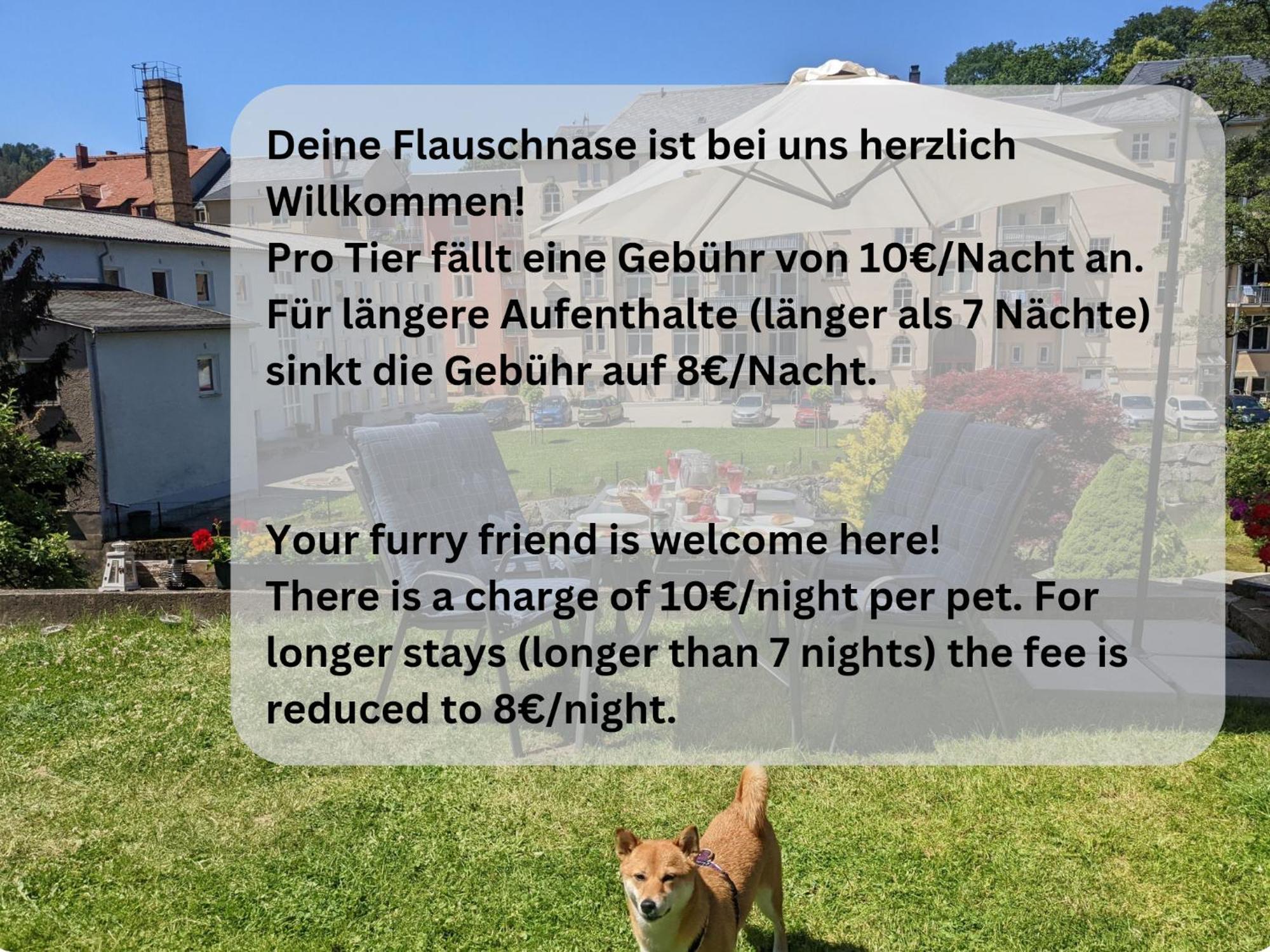 Zi1 - Urlaubsmagie - Erholung Mit Whirlpool & Sauna Sebnitz Kültér fotó